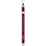 Loreal Color Riche Le Lip Liner 374 Intense Plum