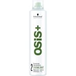 Schwarzkopf Professional OSiS+ Texture Craft Texturising Spray 300ml (Do Not List)