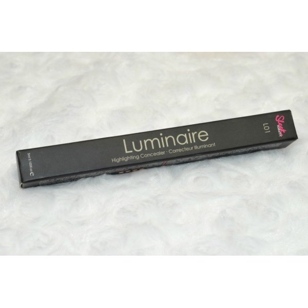 Sleek Concealer Luminaire Highlighting L01